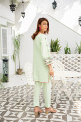Pistachio Dream. ( Enjoye the elegance of our Hand-Embroidered light Pista Color hand embroided shirt )