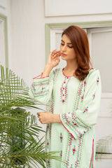 Pistachio Dream. ( Enjoye the elegance of our Hand-Embroidered light Pista Color hand embroided shirt )